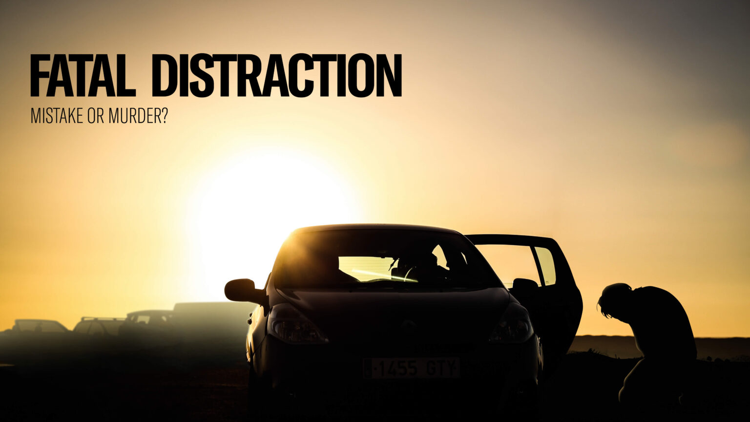 A conversation with Susan Morgan Cooper